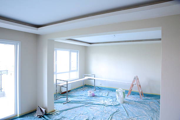 Best Drywall Sanding and Smoothing  in Bellevle, IL